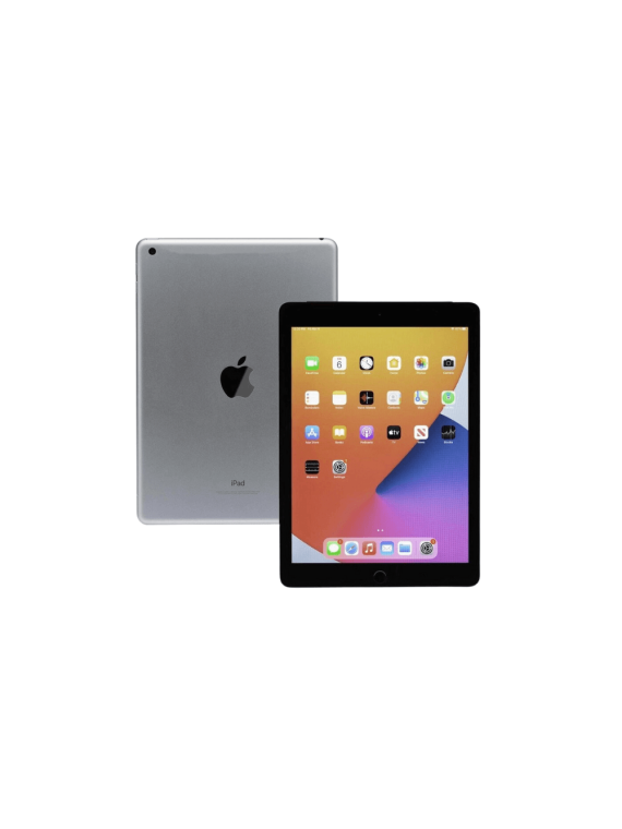 iPad mini 2e génération 16Go - WiFi - Gris Sidéral - Reconditionné ...